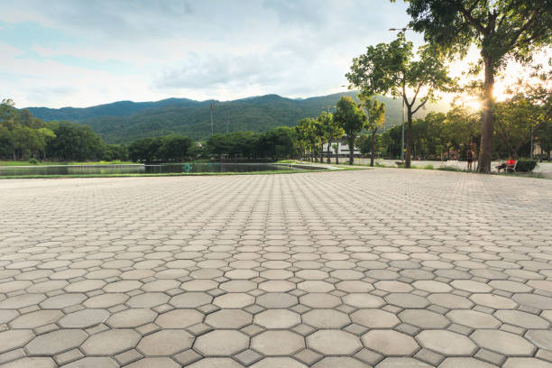 Best Professional Driveway Pavers  in Heartland, TX
